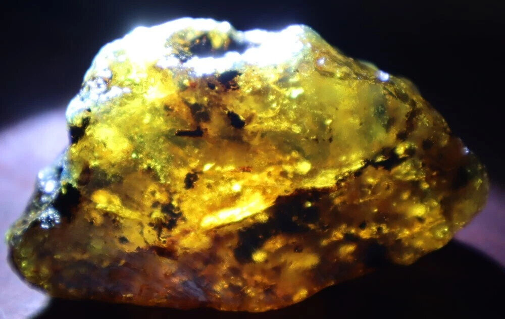 Charming Design Natural Dominican Clear Green Blue Amber Rough Specimen 60mm 28g – photo 9