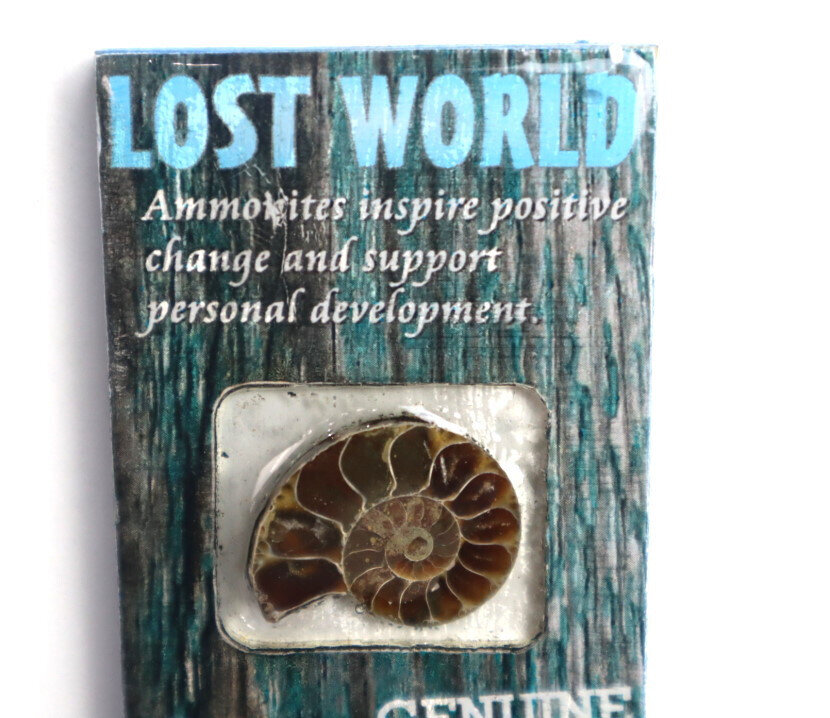 Lost World Ammonite Wood Refrigerator magnet Dominican Rep. Puerto Plata – photo 9
