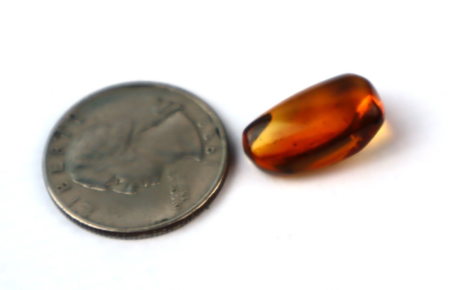 Natural Dominican Amber Insect Fossil – Polished Stone – photo 3
