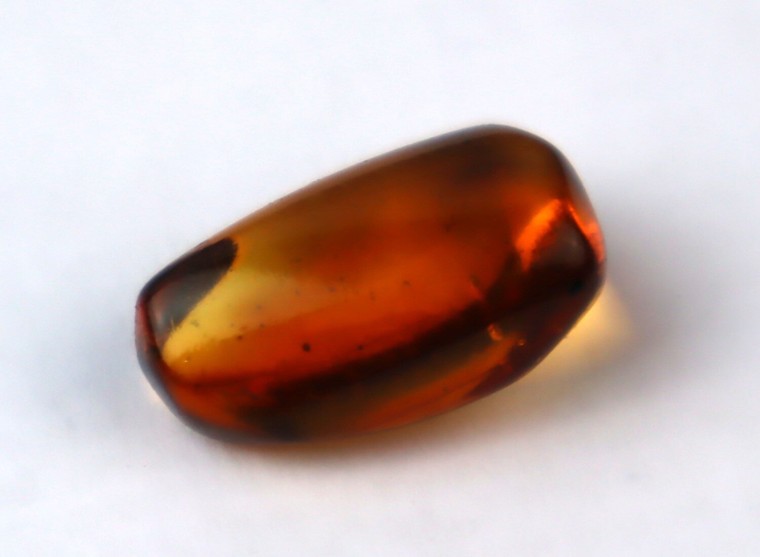 Natural Dominican Amber Insect Fossil – Polished Stone – photo 4