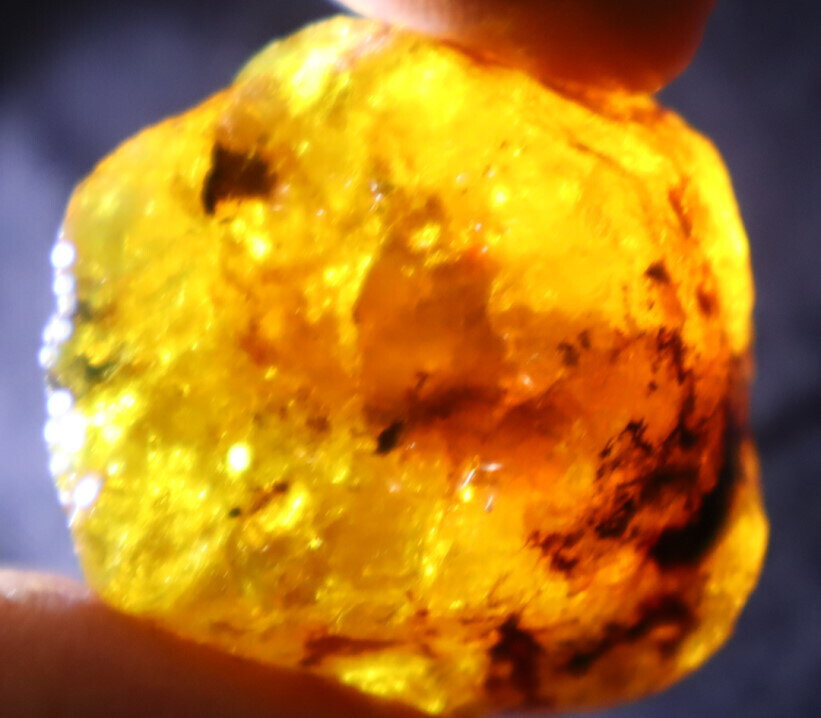 Exquisite Natural Dominican Clear Light Yellow Amber Rough Specimen 35mm 16g – photo 6