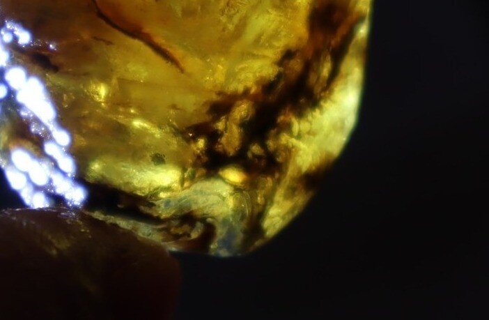 Interested Yellow Blue Dominican Amber Rough Specimen Chunk 37mm 10.6g – photo 11