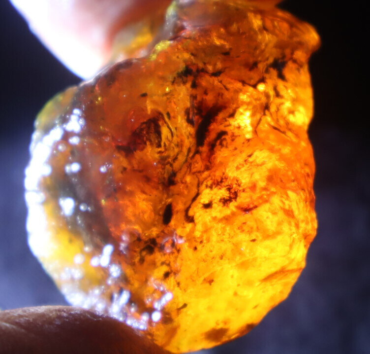 Excellent Dominican Crystal Clear Orange Blue Amber Rough Specimen 40mm 16.3g – photo 14