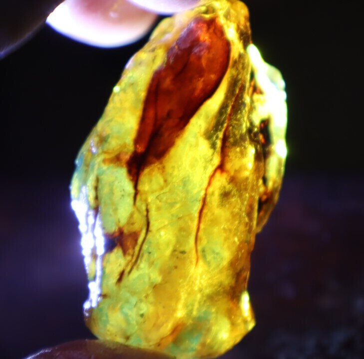 Natural Dominican Crystal Clear Sky Blue Amber Rough Specimen 51mm 14.5g – photo 8