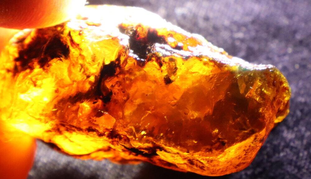 Exquisite Natural Dominican Clear Green Blue Amber Rough Specimen 40mm 13.5g – photo 8