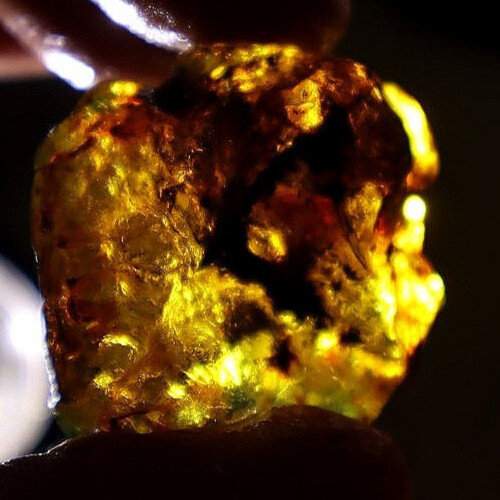 Authentic Beautiful Sky Blue Dominican Amber Rough Specimen Chunk 43mm 10.9g – photo 7