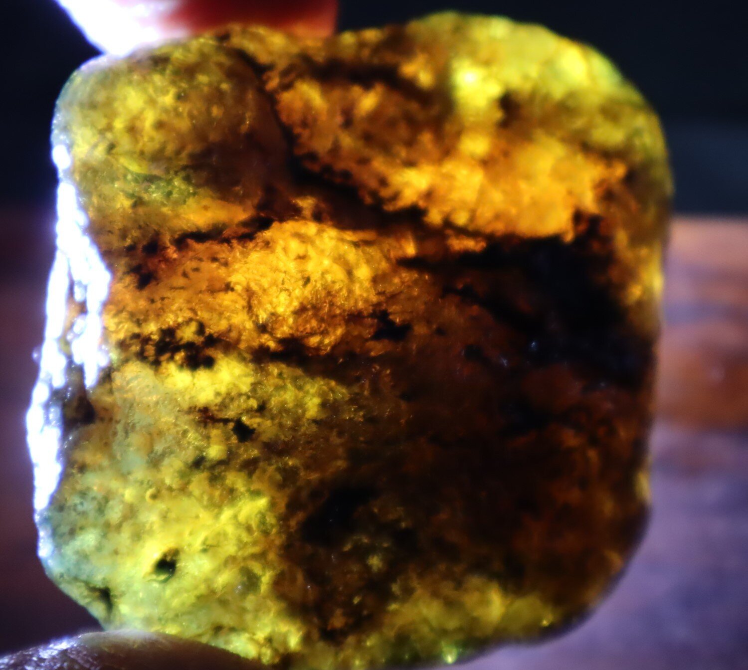 Impressive Natural Dominican Clear Green Blue Amber Rough Specimen 53mm 27.6g – photo 5