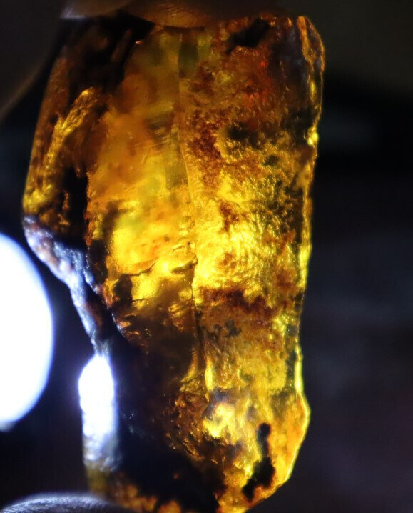 Finest Natural Dominican Crystal Clear Light Blue Amber Rough Specimen 68mm 41g – photo 12