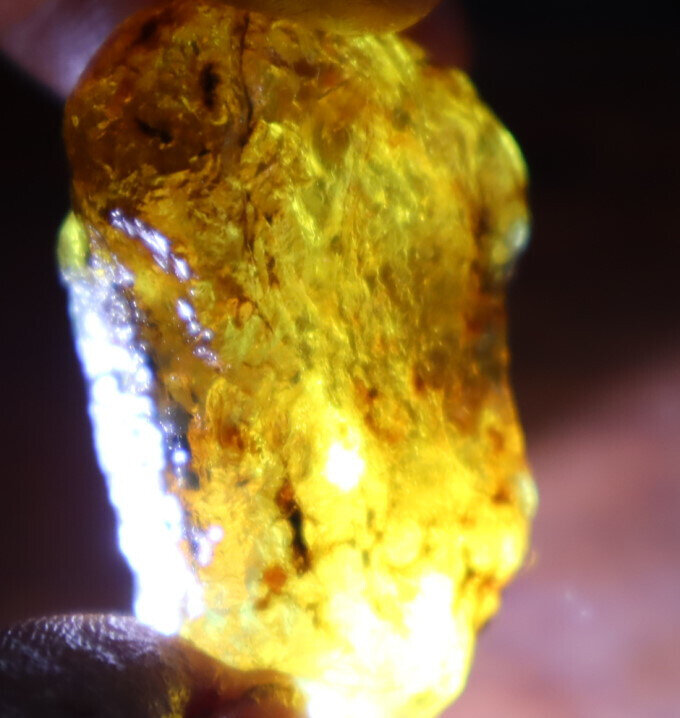 Excellent Natural Dominican Clear Yellow Blue Amber Rough Specimen 40mm 9.6g – photo 15