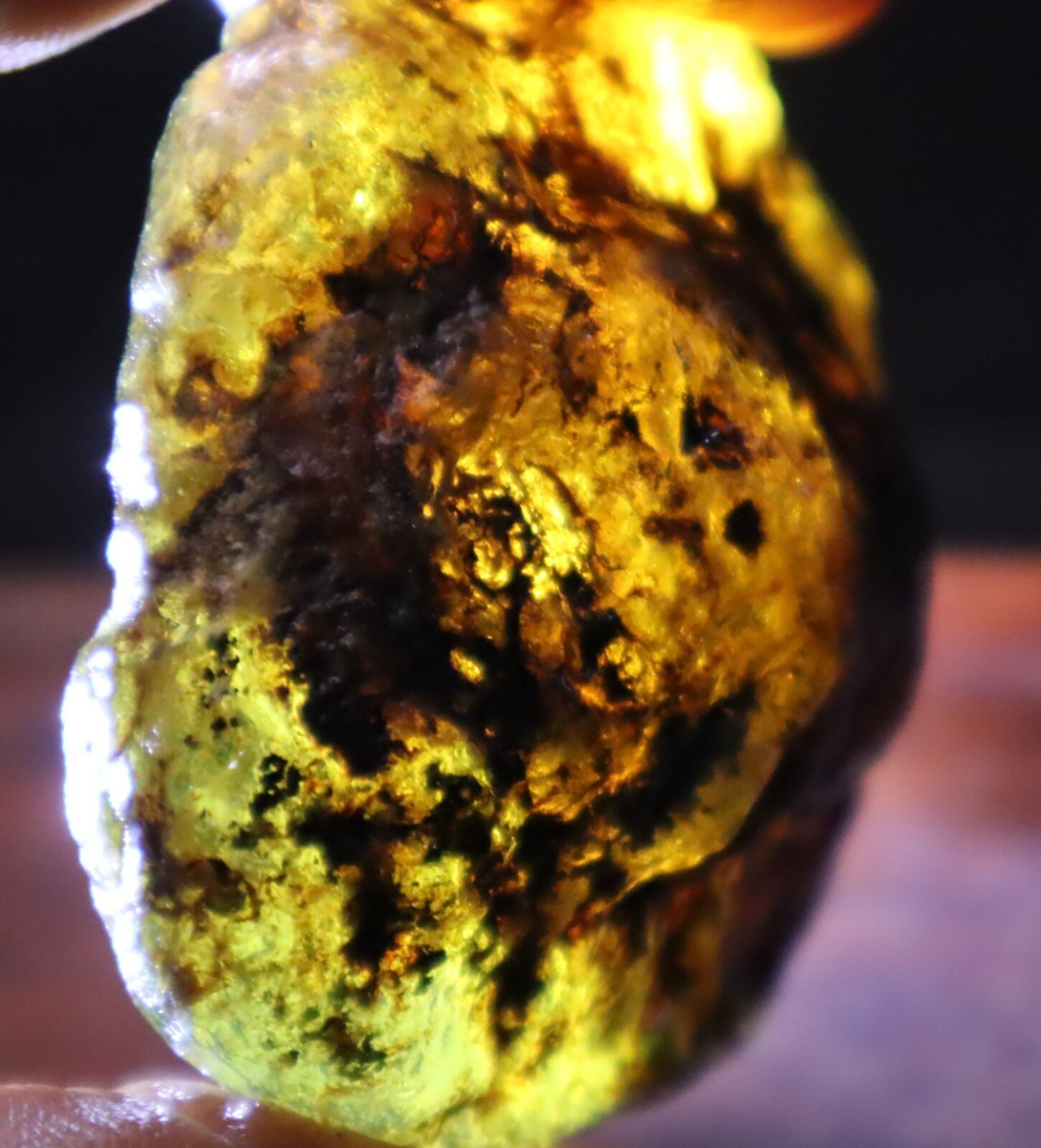Beautiful Natural Dominican Translucent Sky Blue Amber Rough Specimen 58mm 42.5g – photo 16