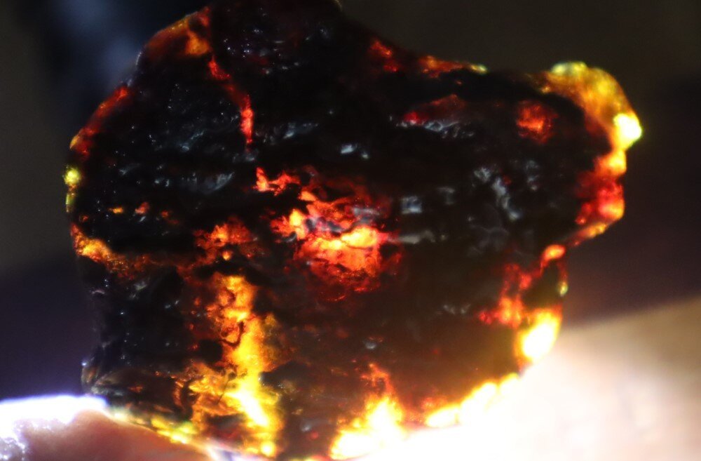 Impressive Natural Dominican Clear Volcanic Blue Amber Rough Specimen 51mm 17.2g – photo 14