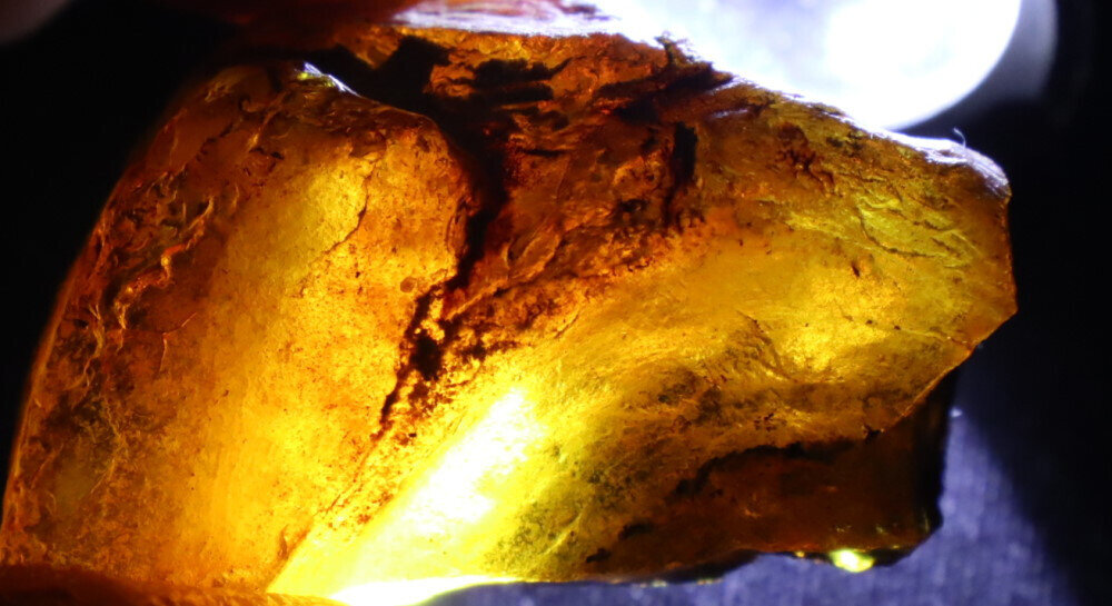 Beautiful Natural Dominican Clear Green Blue Amber Rough Specimen 44mm 12g – photo 10