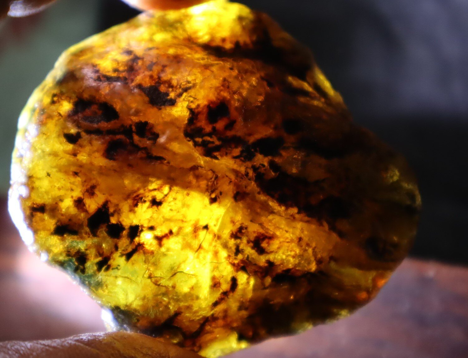 Beautiful Natural Dominican Translucent Yellow Blue Amber Rough Specimen 58mm 34g – photo 5