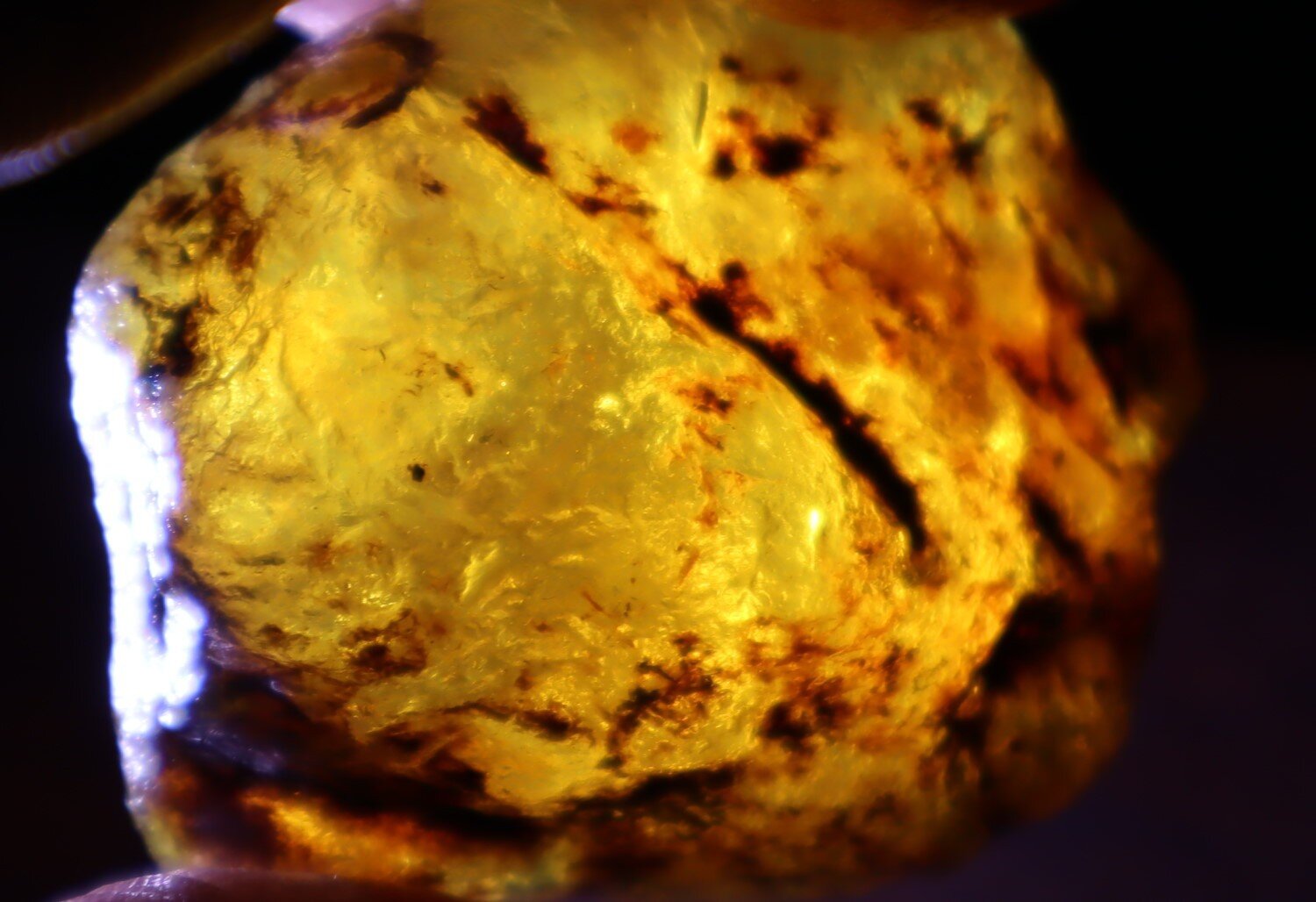 Impressive Dominican Crystal Clear Sky Blue Amber Rough Specimen 43mm 20.1g – photo 13