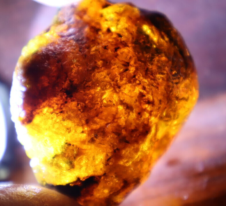 Beautiful Natural Dominican Translucent Sky Blue Amber Rough Specimen 51mm 28.5g – photo 11