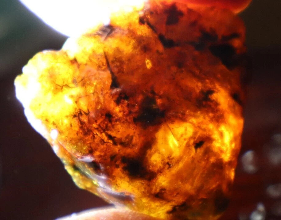 Charming Design Natural Dominican Transl Yellow Blue Amber Rough Specimen 37g – photo 7