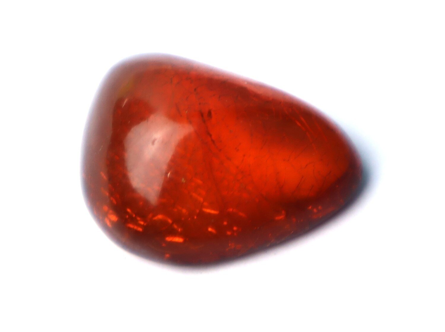 Genuine Dominican Red Amber w/ Fossil Rove Beetle (Staphylinidae) 12.5ct – photo 4