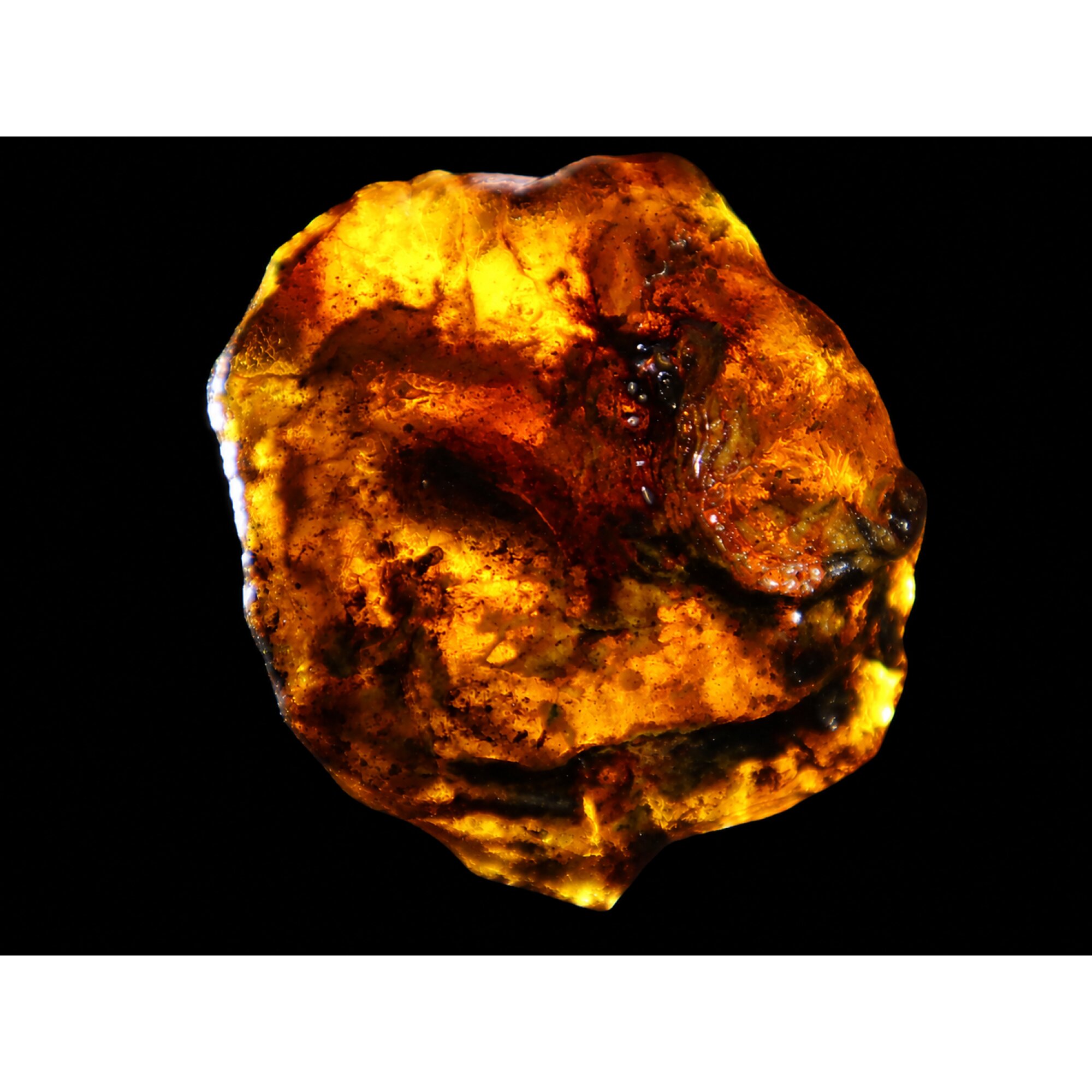 Translucent deep blue Natural Dominican Amber rough Specimen 56 mm – photo 2