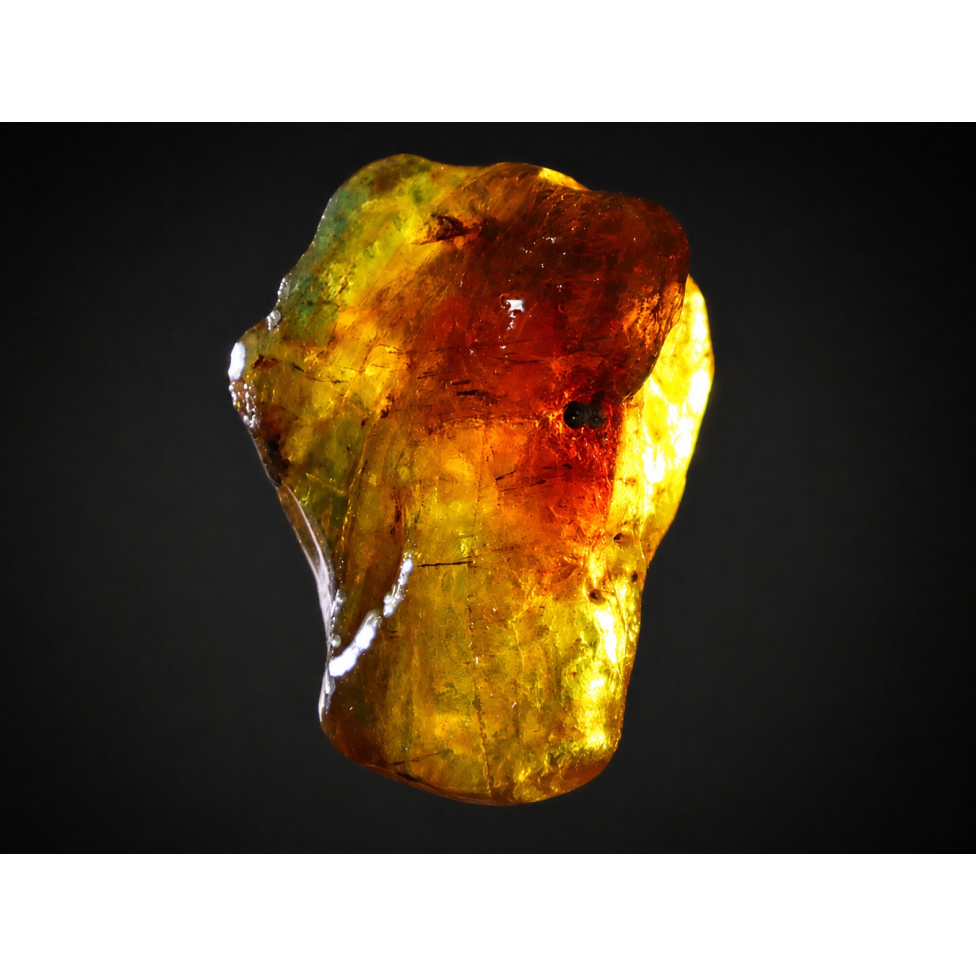 Clear deep yellow Natural Dominican Amber rough Specimen 46 mm – photo 8