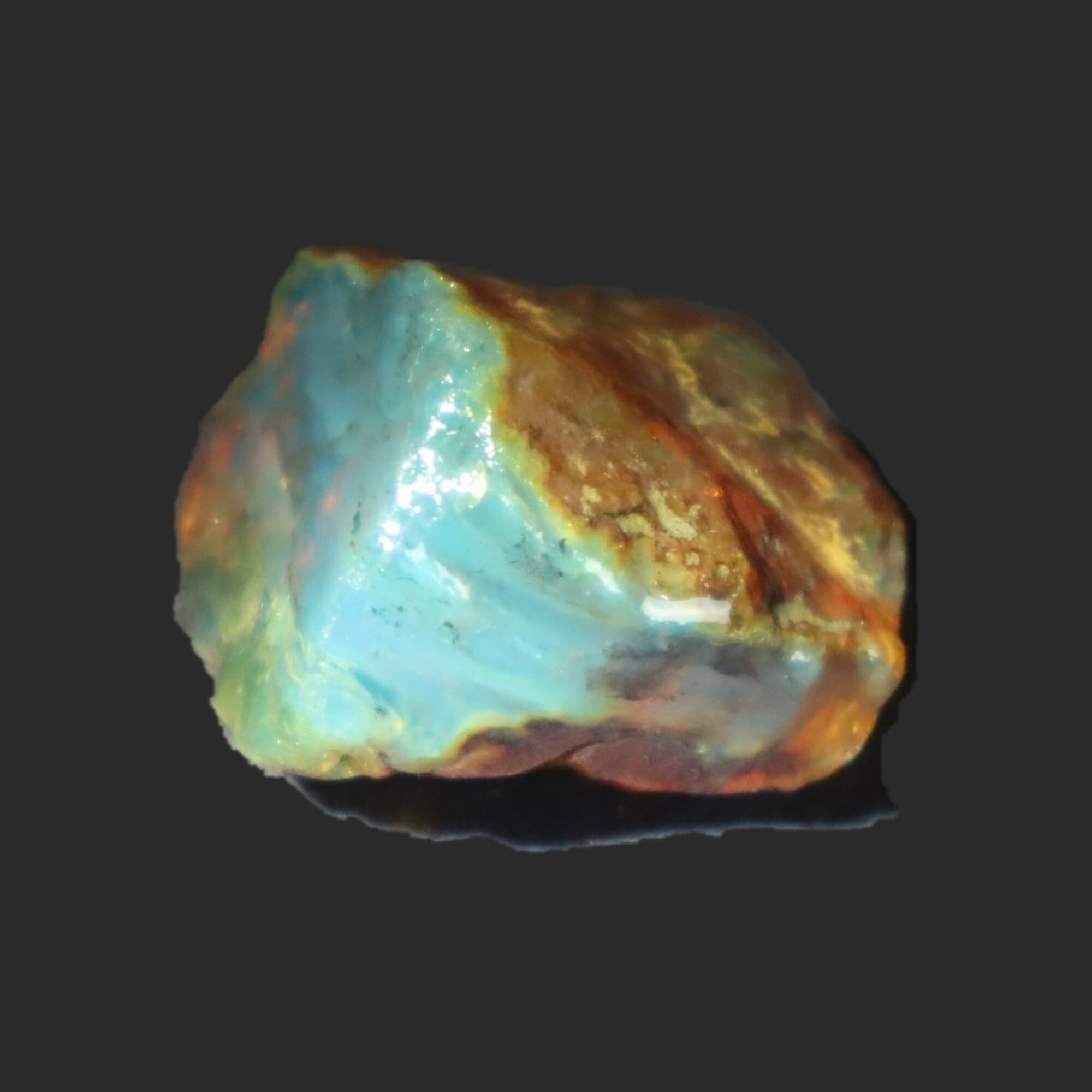 Naturally formed cognac blue rough specimen Dominican amber 31mm – photo 2
