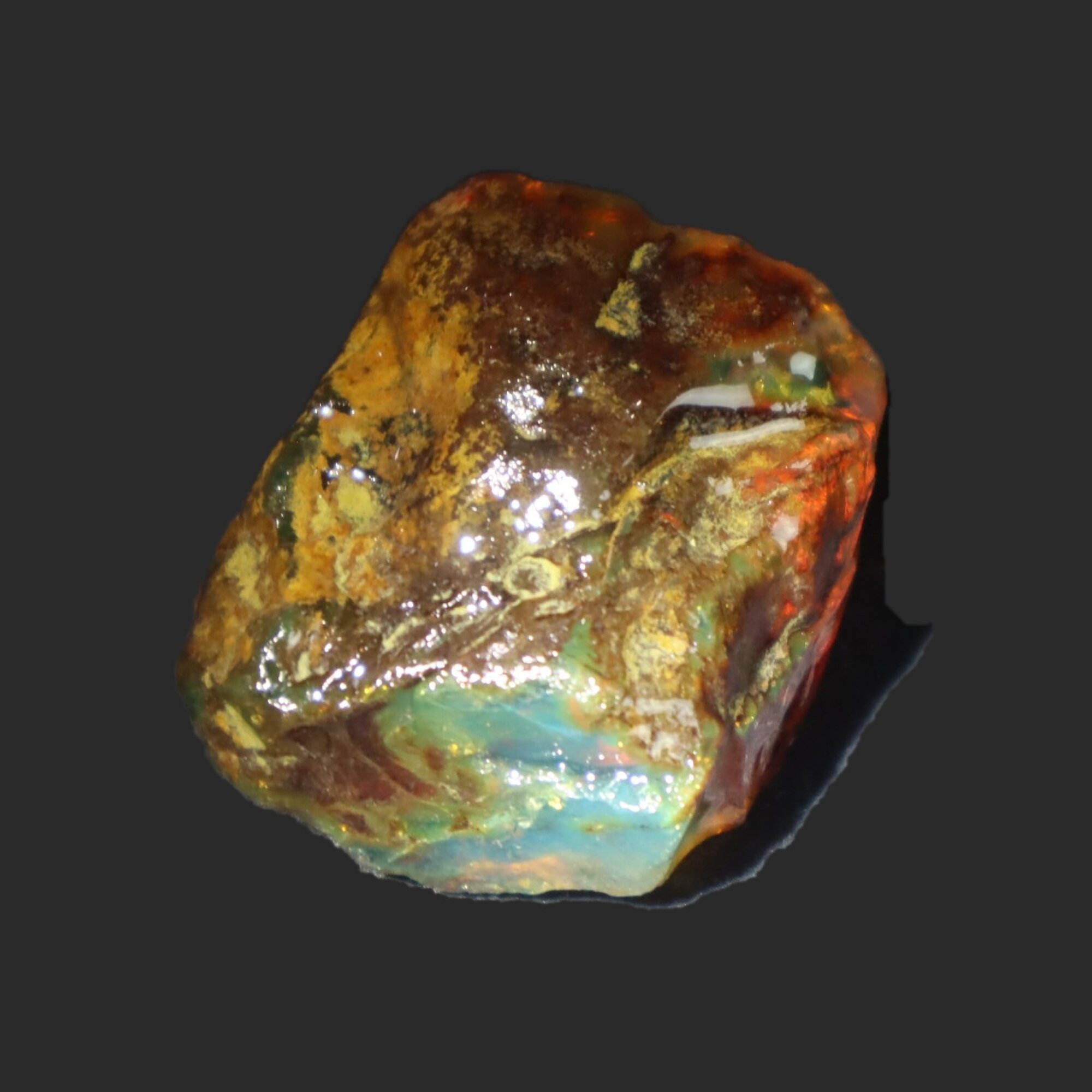 Naturally formed cognac blue rough specimen Dominican amber 31mm – photo 6