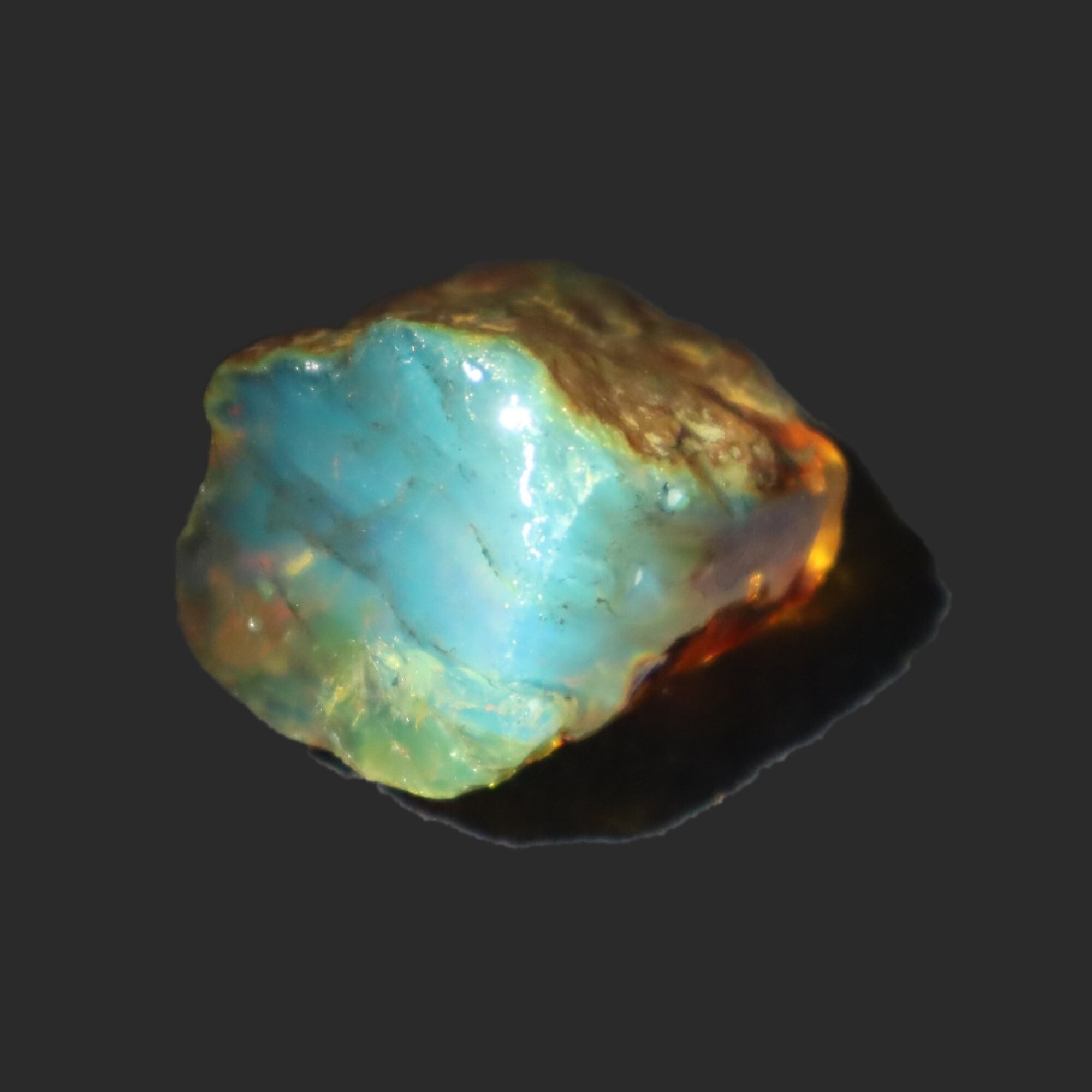 Naturally formed cognac blue rough specimen Dominican amber 31mm – photo 19