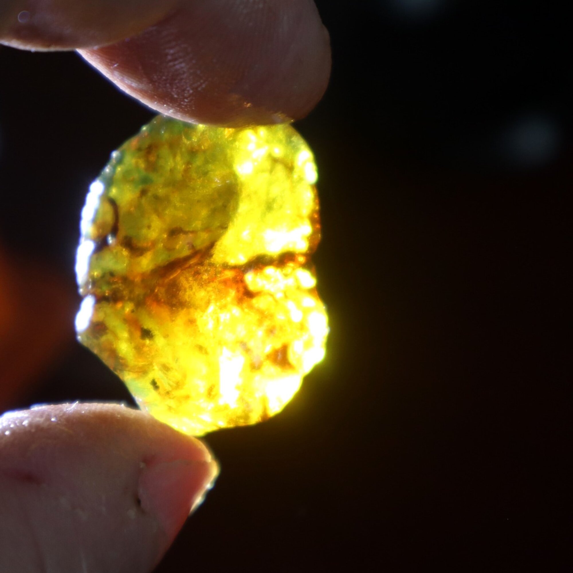 Genuine sky blue rough specimen Dominican amber 30mm – photo 6