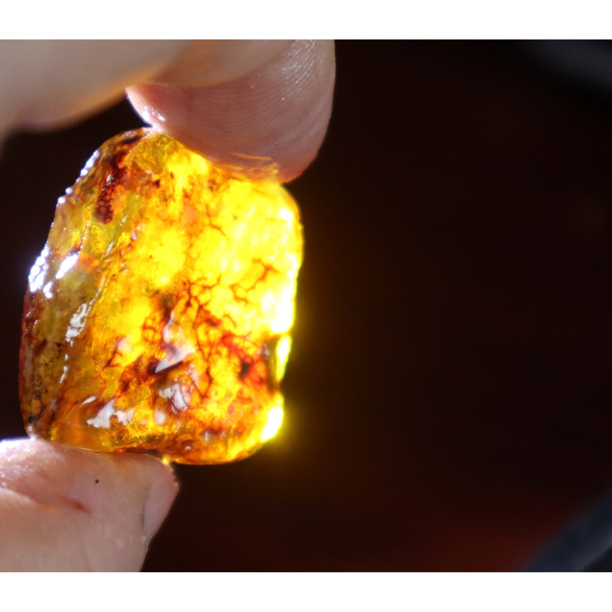 Authentic deep blue rough specimen Dominican amber 32mm – photo 8