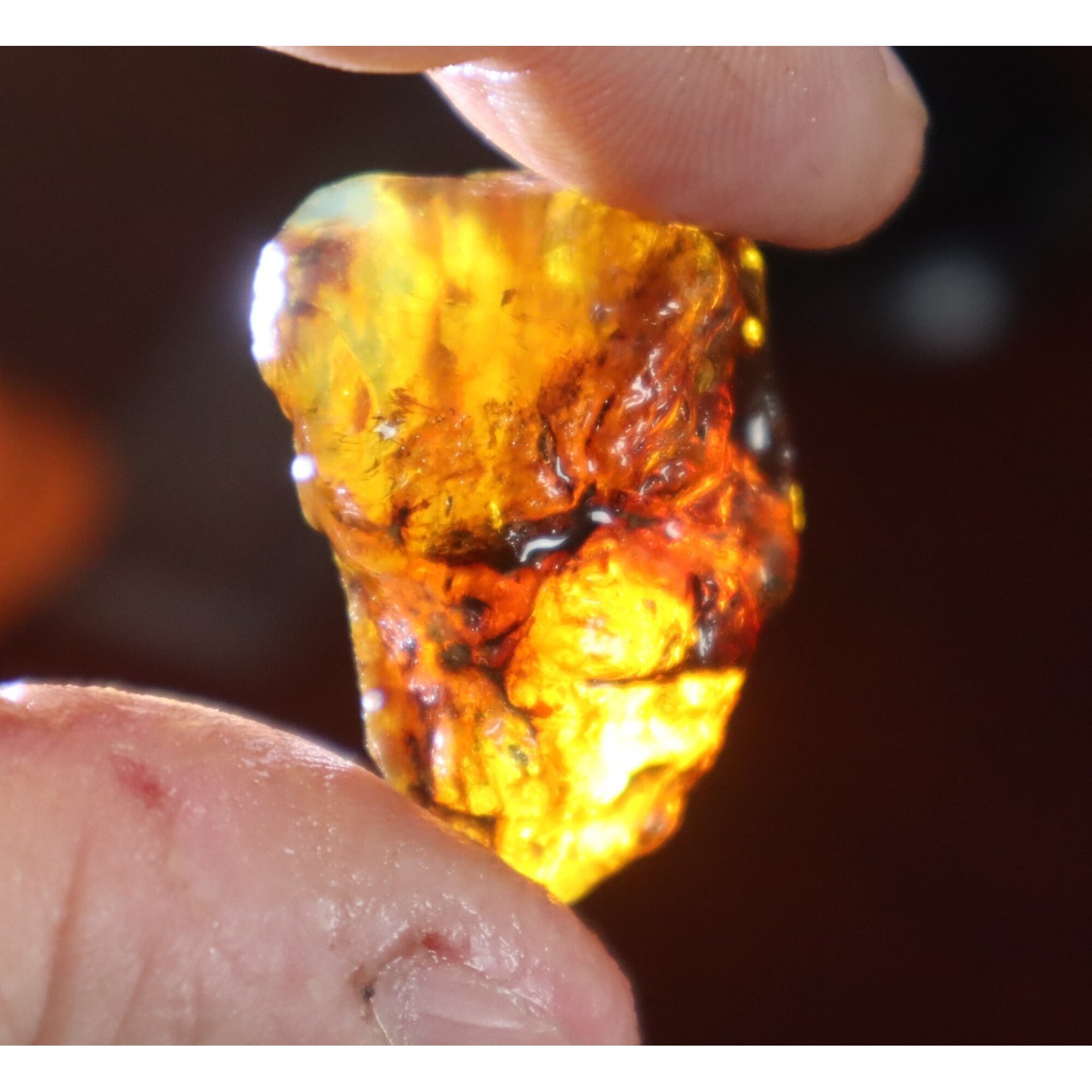 Authentic sky blue rough specimen Dominican amber 30mm – photo 11