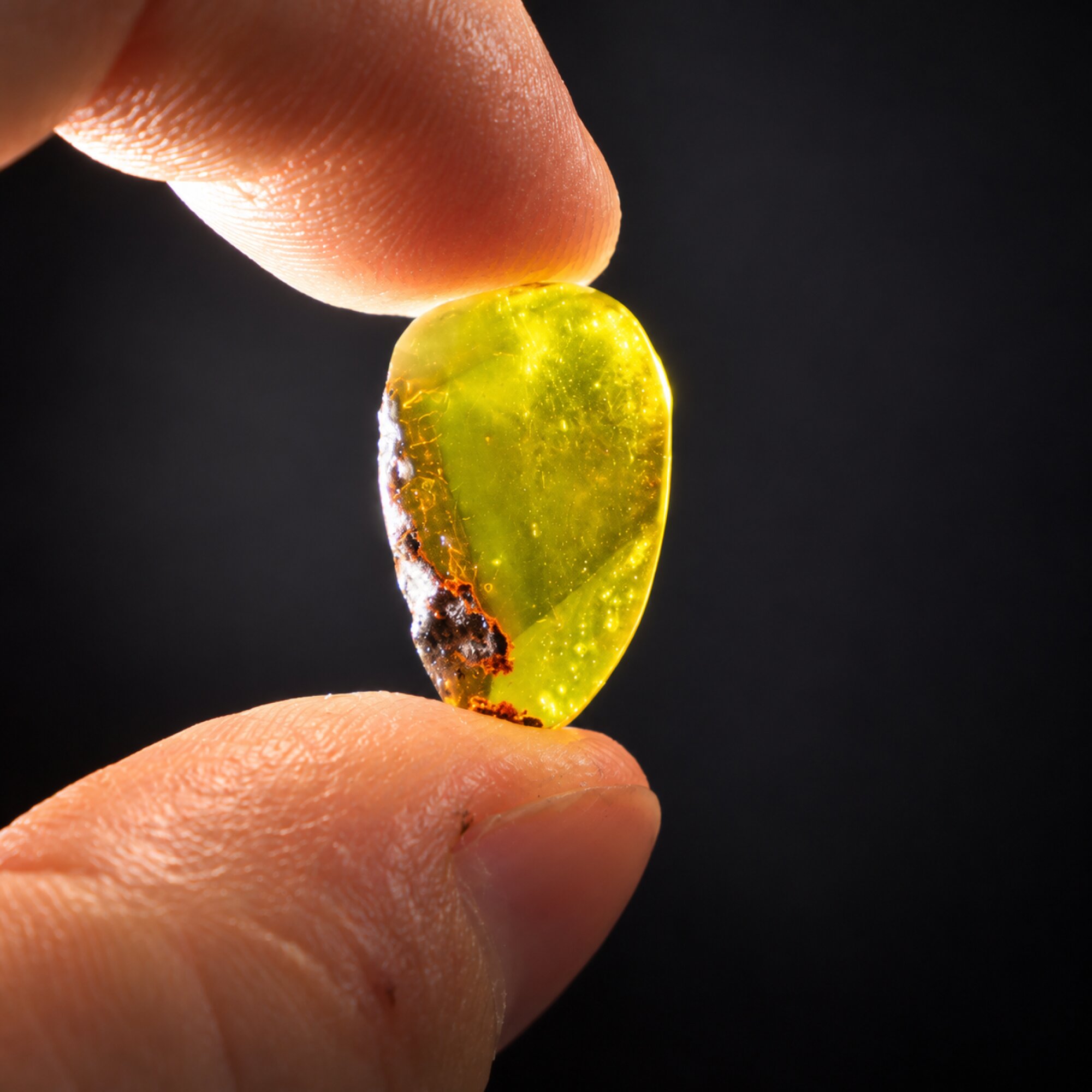 Untreated green yellow Dominican amber cabochon – photo 5