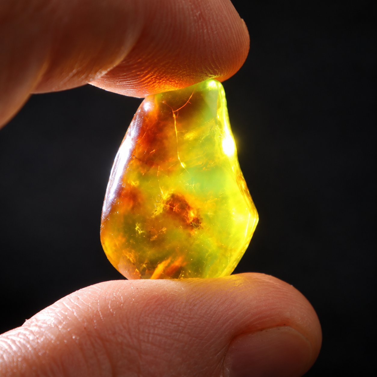 Authentic yellow green polished Dominican amber 25mm – photo 10