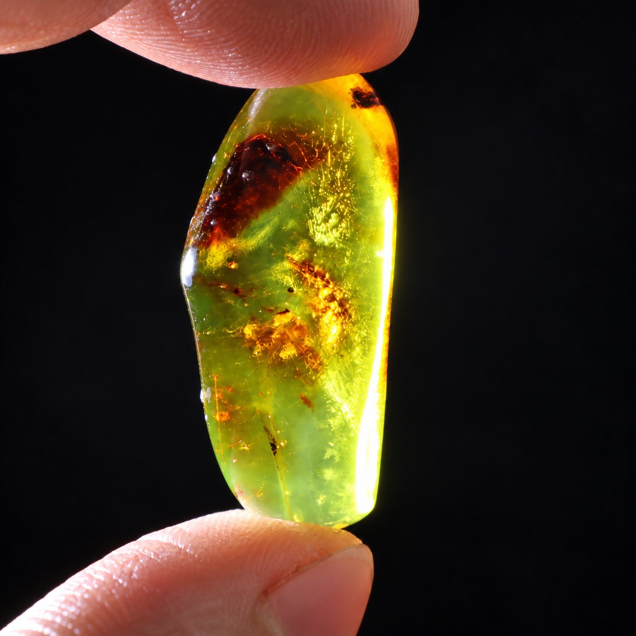 Real dark green polished Dominican amber 35mm – photo 7