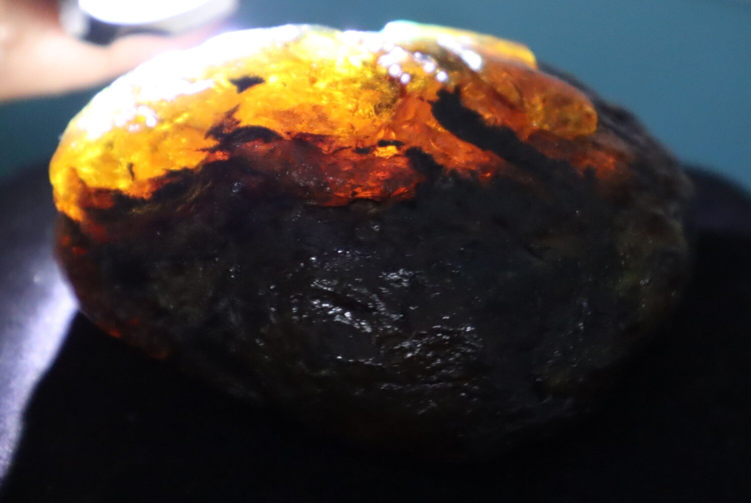 Natural Dominican Translucent Green Blue Amber Rough Specimen 82mm 114g – photo 3