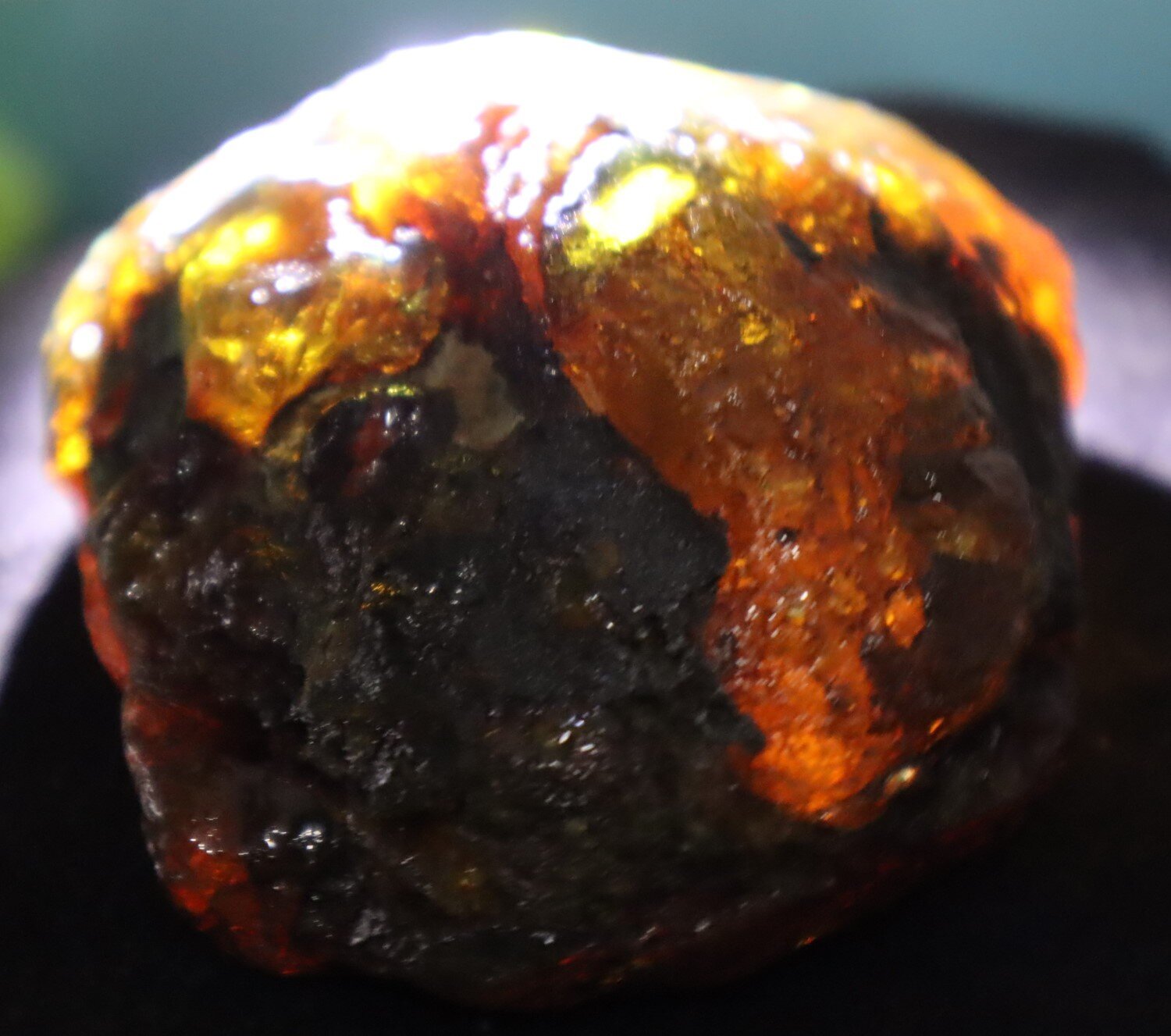 Natural Dominican Translucent Green Blue Amber Rough Specimen 82mm 114g – photo 11
