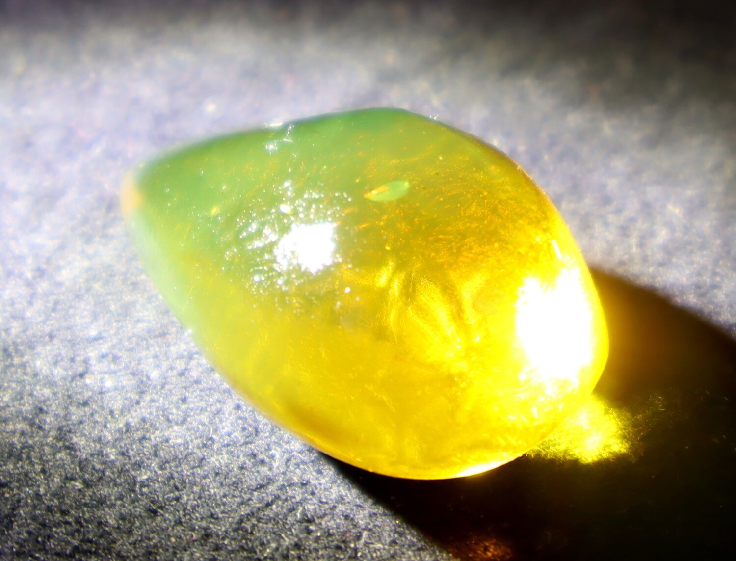 🦋 Natural Dominican Golden Amber with Preserved Organic Inclusion – 34mm 🦋 – photo 12