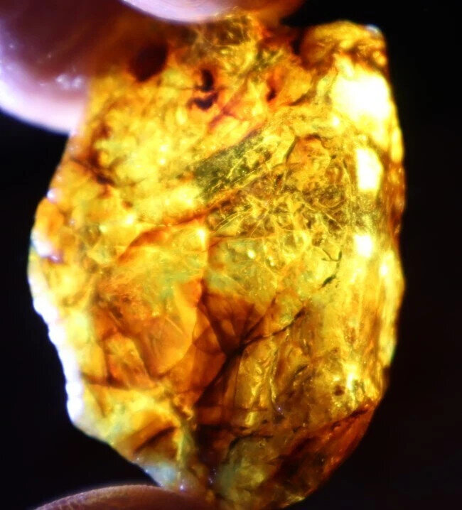 Exquisite Natural Dominican Crystal Clear Yellow Blue Amber Rough Specimen 42mm – photo 10