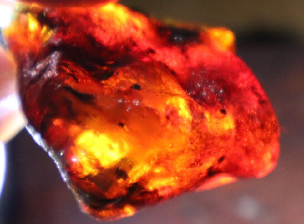 Excellent Natural Dominican Clear Deep Green Blue Amber Rough Specimen 39mm 13.5 – photo 4