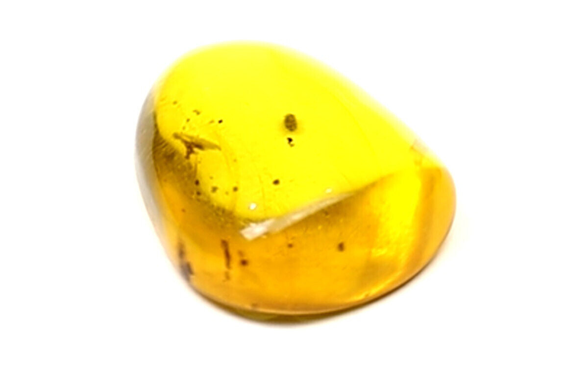 Splendid Natural Dominican Clear Yellow Amber Polished Stone Fossil Insect Bug – photo 7