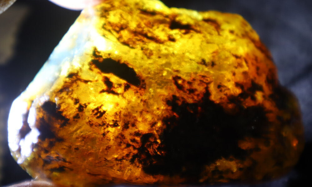 Beautiful Natural Dominican Clear Yellow Blue Amber Rough Specimen 73mm 44.5g – photo 9
