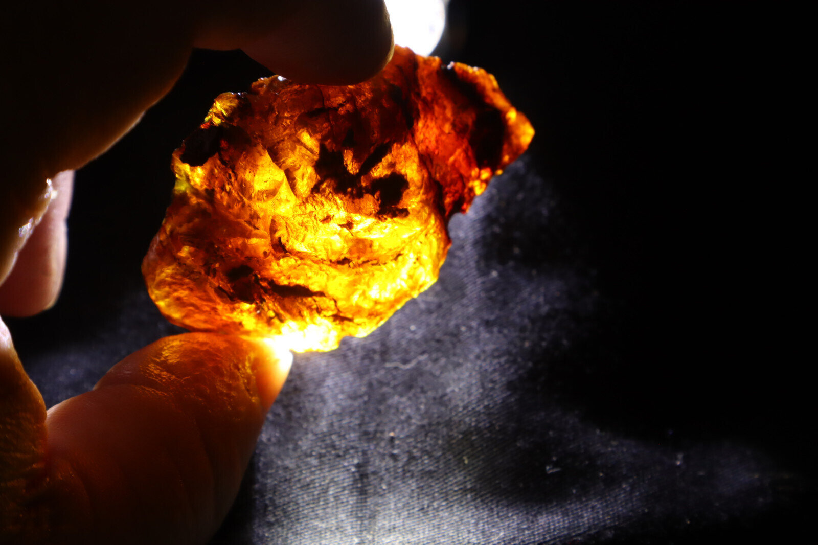 Outstanding Natural Dominican Clear Deep Blue Amber Rough Specimen 59mm 21g – photo 12