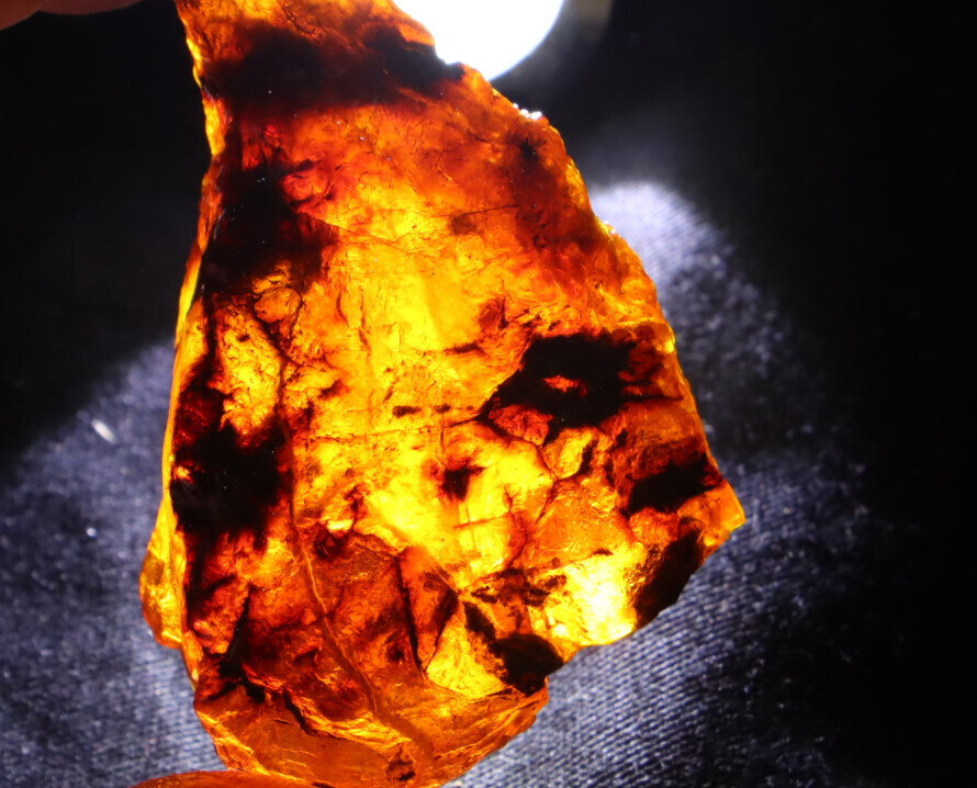 Outstanding Natural Dominican Clear Deep Blue Amber Rough Specimen 59mm 21g – photo 13
