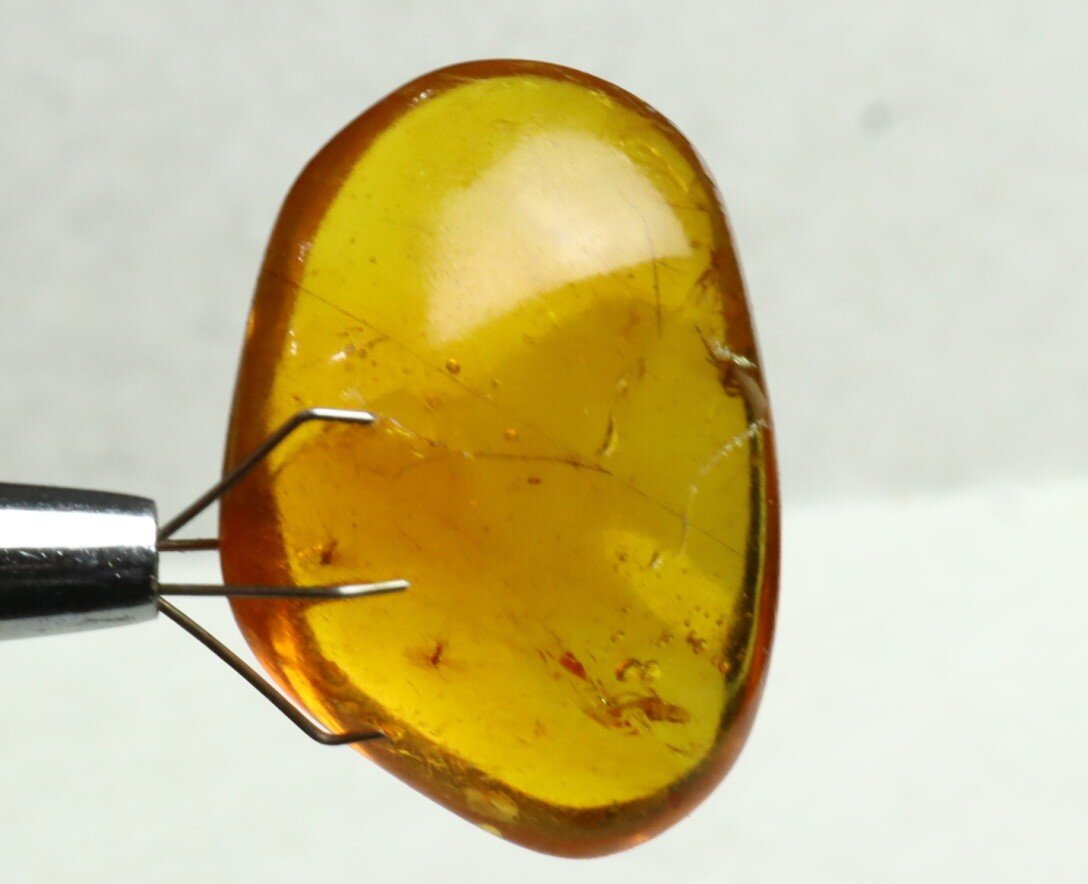Lovely Natural Dominican Clear Yellow Amber Fossil Insect Fleas Polished Stone 3 – photo 8