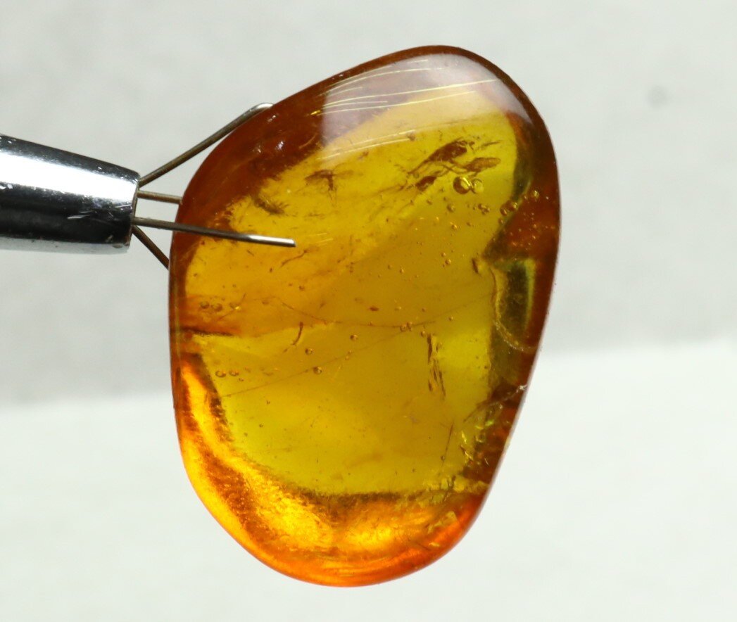 Lovely Natural Dominican Clear Yellow Amber Fossil Insect Fleas Polished Stone 3 – photo 11