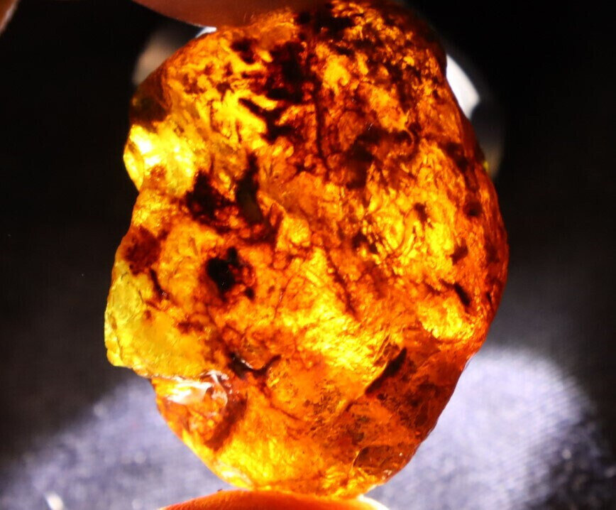 Impressive Natural Dominican Clear Sky Blue Amber Rough Specimen 34mm 15g – photo 6