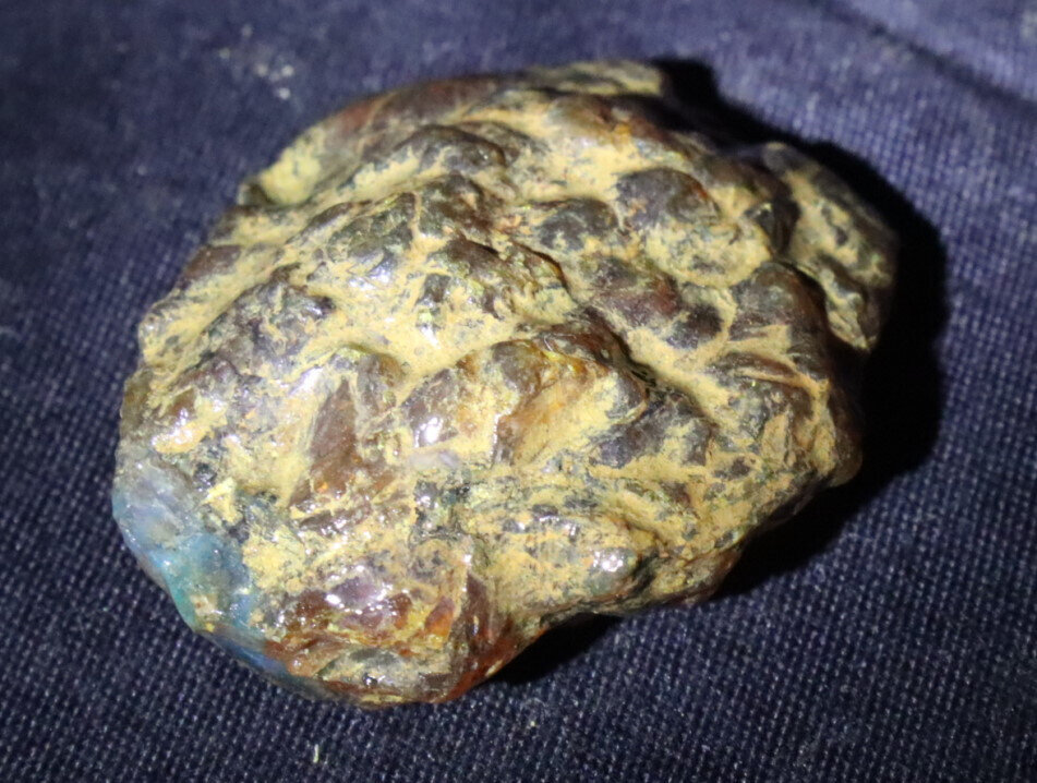 Beautiful Natural Dominican Clear Sky Blue Amber Rough Specimen 50mm 16.5g – photo 8