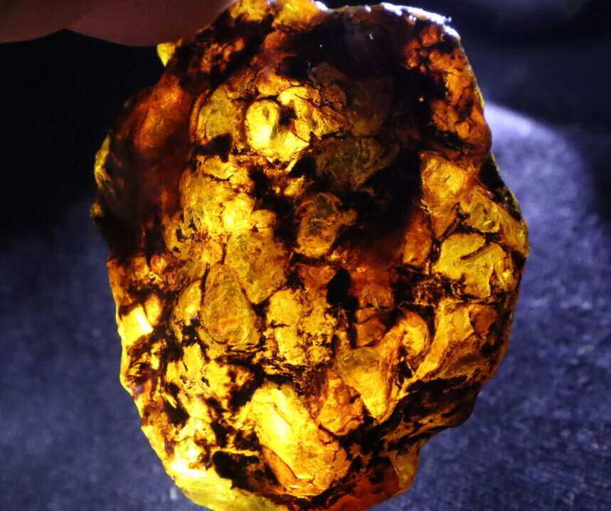 Beautiful Natural Dominican Clear Sky Blue Amber Rough Specimen 50mm 16.5g – photo 9
