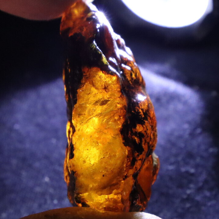 Beautiful Natural Dominican Clear Sky Blue Amber Rough Specimen 50mm 16.5g – photo 10