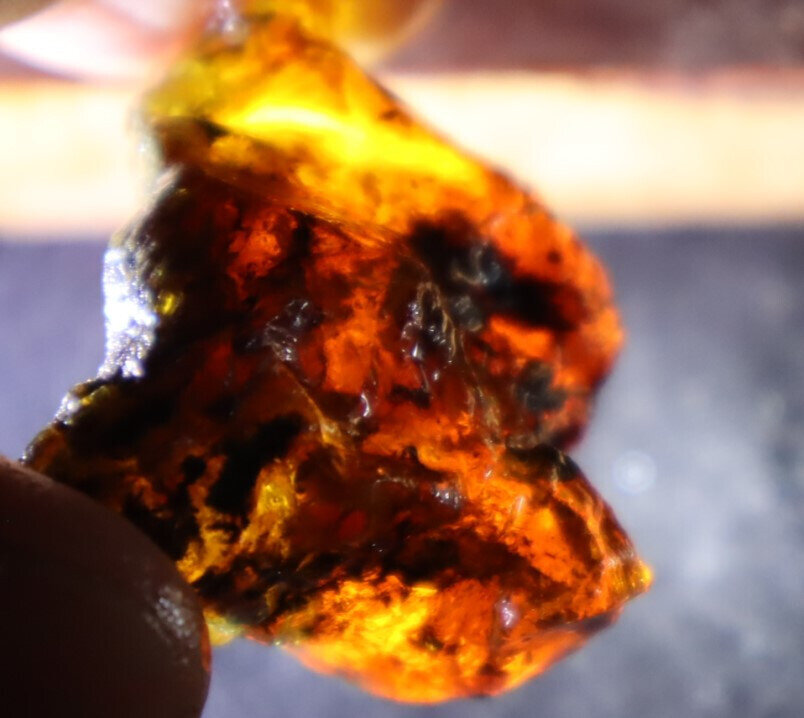 Lovely Natural Dominican Translucent Sky Blue Amber Rough Specimen 42mm 13.2g – photo 12