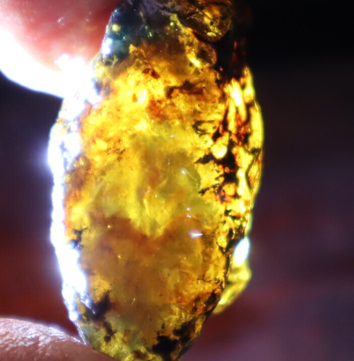 Lovely Natural Dominican Clear Sky Blue Amber Rough Specimen 38mm 7.4g – photo 10