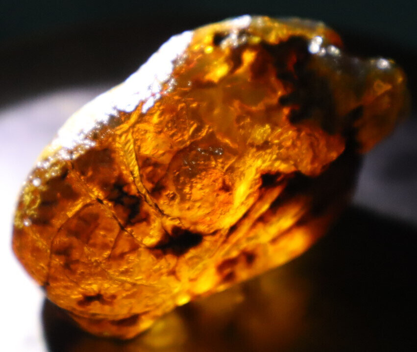 Charming Design Nat. Dominican Clear Blue Green Amber Rough Specimen 61mm 46.5g – photo 11